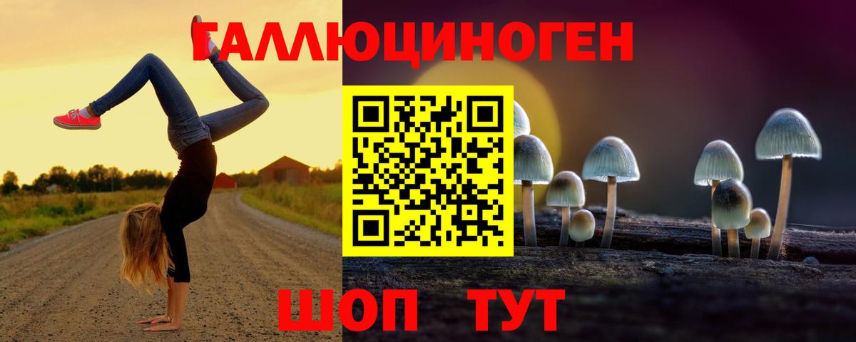 Псилоцибиновые грибы Psilocybine cubensis  Вход с VPN  Ачхой-Мартан 